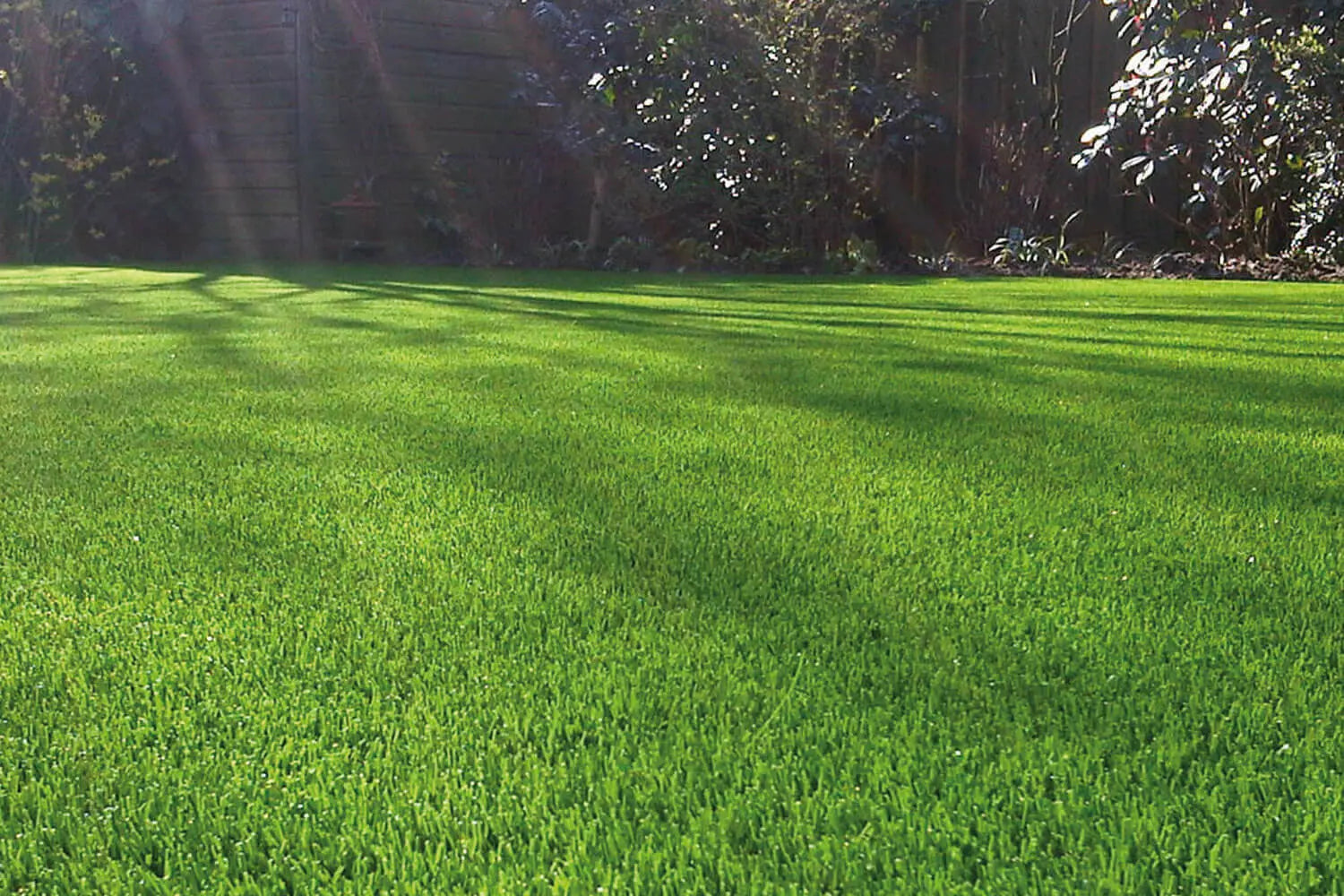 Cómo cuidar tu césped en verano - Grupo Dila