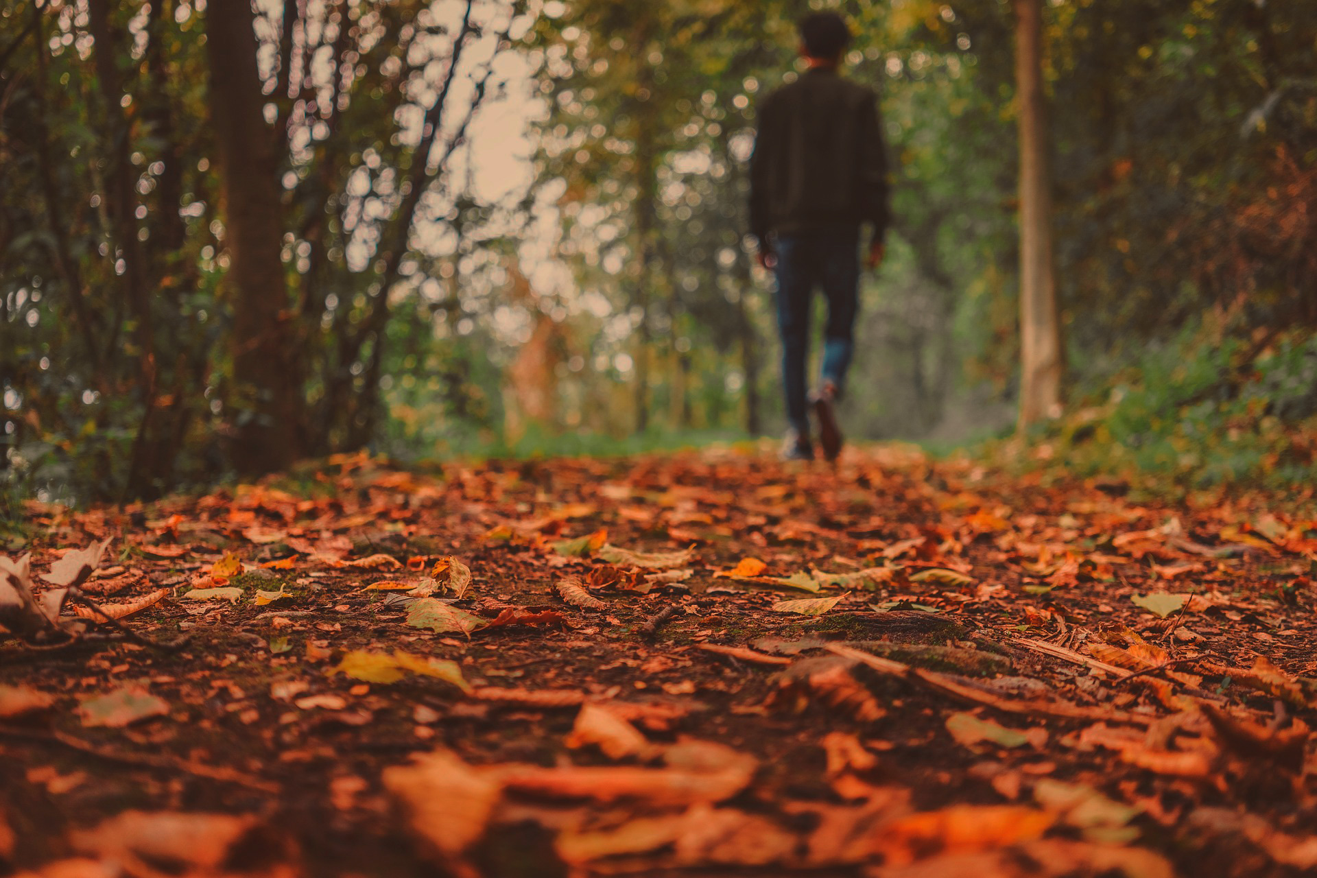 Consejos para cuidar el jardín en otoño