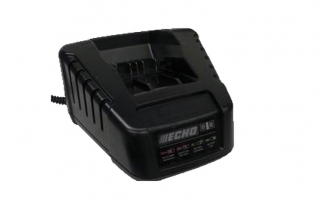 CARGADOR BATERÍA RAPIDO ECHO  50 V